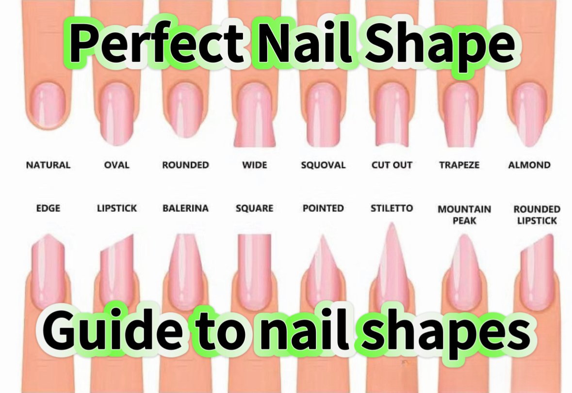 Shap Types Finding the Perfect nail Shape: A guide to Nail Shapes and Hand Types ...